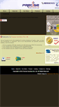 Mobile Screenshot of preciseconchempvtltd.com